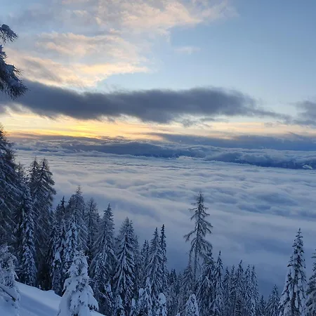 Gerlitzenzeit Treffen