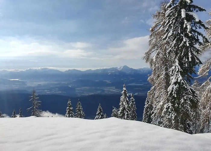 Apartament Gerlitzenzeit *